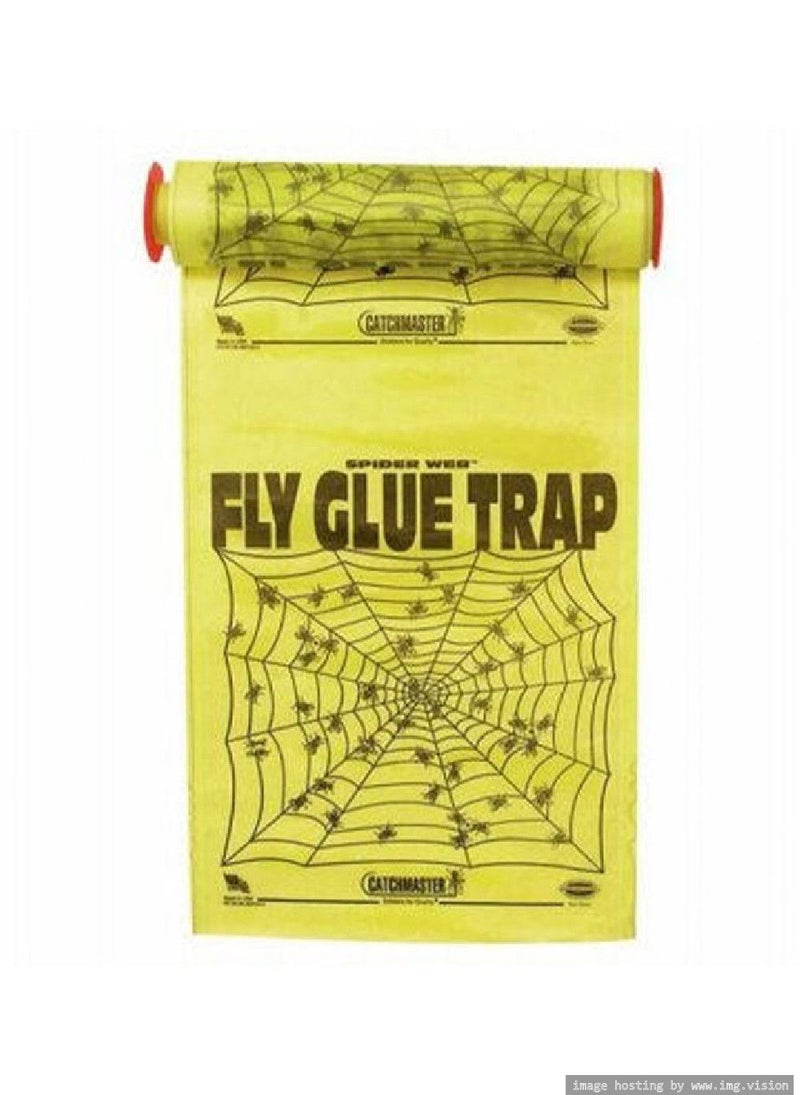 Catchmaster Spider Web Fly Trap