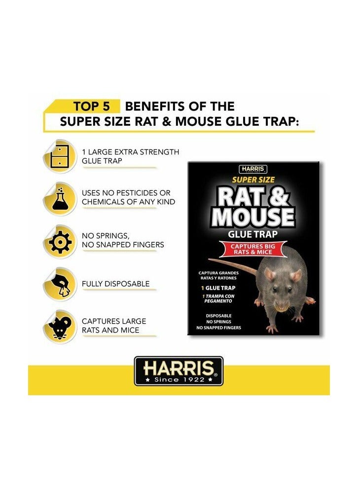 Harris Rat and Mouse Glue Trap