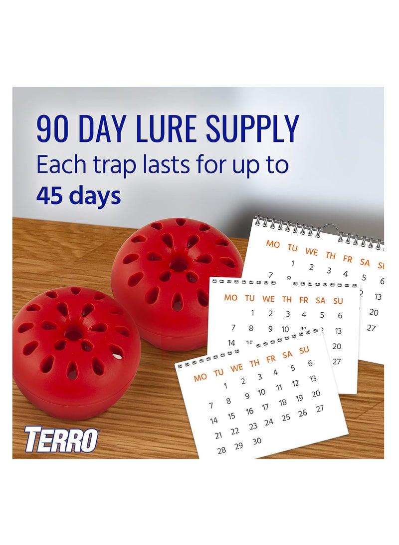 TERRO T2502 ready to use indoor fruit fly trap with built in window 2 traps 90 day lure supply