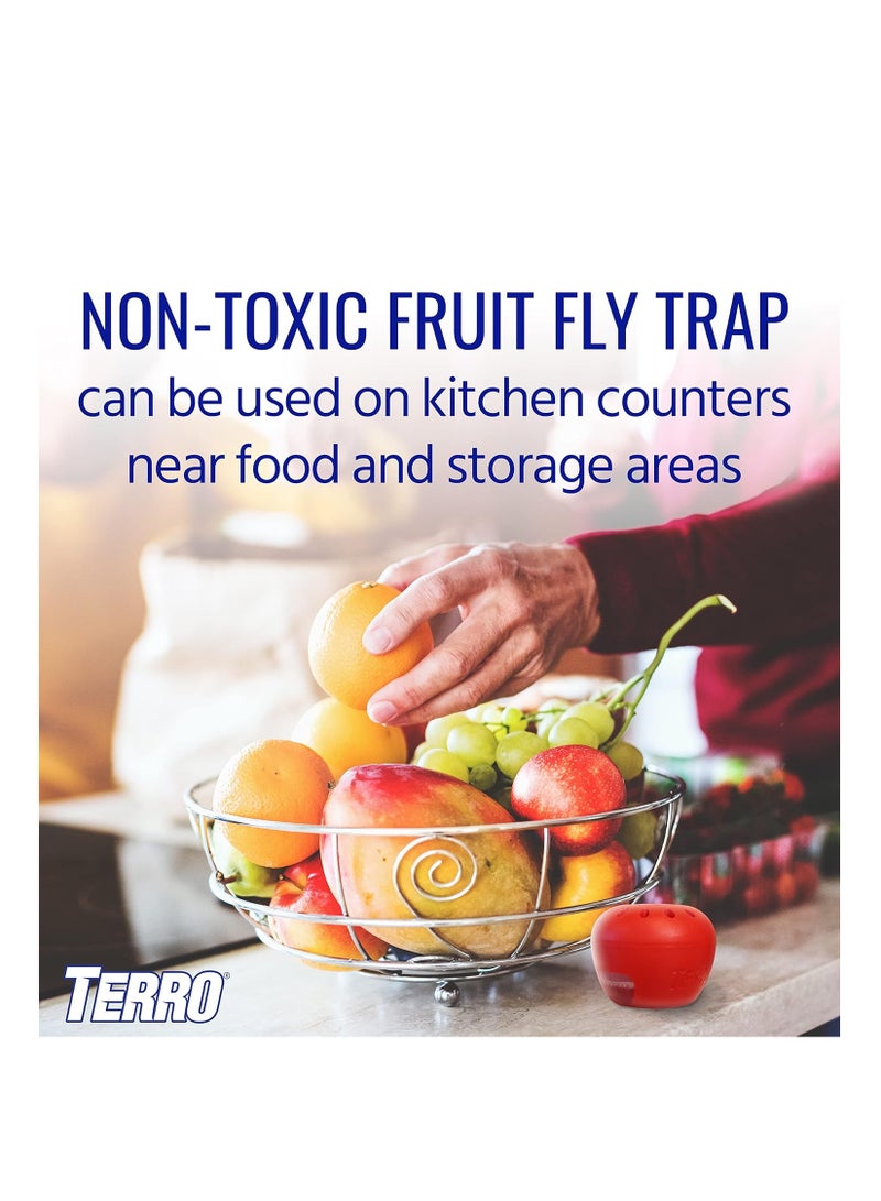 TERRO T2502 ready to use indoor fruit fly trap with built in window 2 traps 90 day lure supply