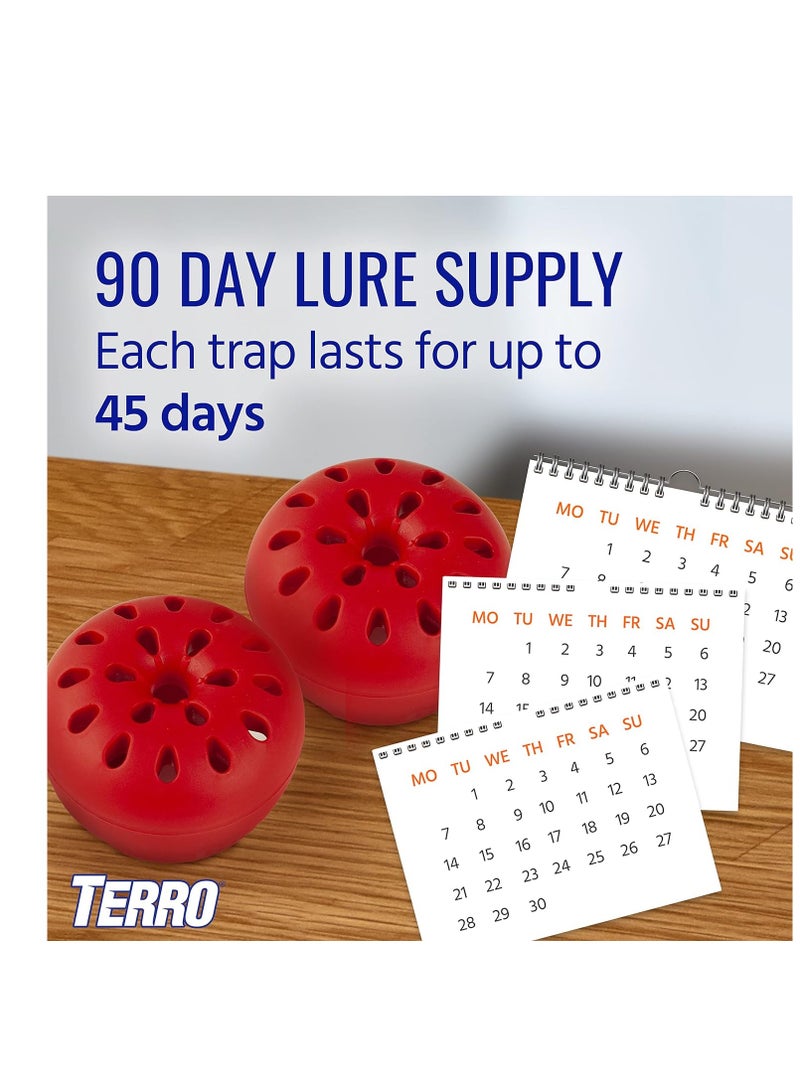 TERRO T2503SR Ready-to-Use Indoor Fruit Fly Killer and Trap with Built in Window - 4 Traps + 180 day Lure Supply