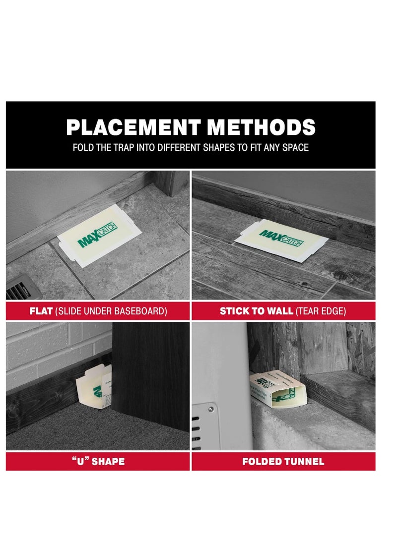 Pest Glue Trap by Catchmaster - 36 Boards Pre-Baited, Ready to Use Indoors. Rodent Mouse Rat Insect Sticky Adhesive Simple Easy Simple Non-Toxic - Made in the USA