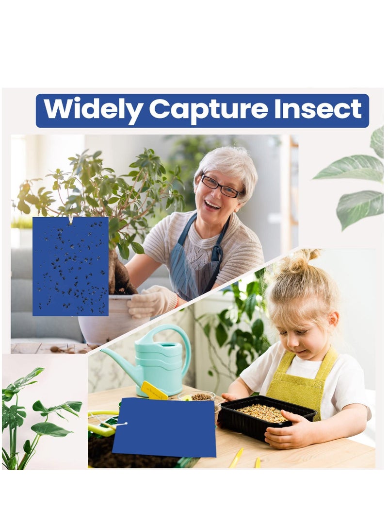 Fruit Fly Trap, 50Pack Blue Double Sided Sticky Gnat Traps Killer, Blue Gnat Traps Sticky Traps for House Indoor Outdoor Flying Plant Insect, Fungus Gnats Whiteflies Aphids Leaf Miners, 25X20CM