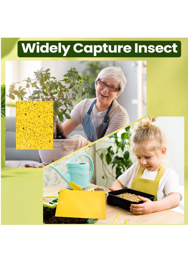 50 Pack Fruit Fly Trap, Yellow Sticky Gnat Traps Killer for Indoor/Outdoor Flying Plant Insect Like Fungus Gnats, Whiteflies, Aphids, Leaf Miners - 6x8 in, Twist Ties Included