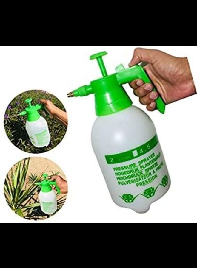 2 Liter Pressure Sprayer Money Plant With PVC Pot