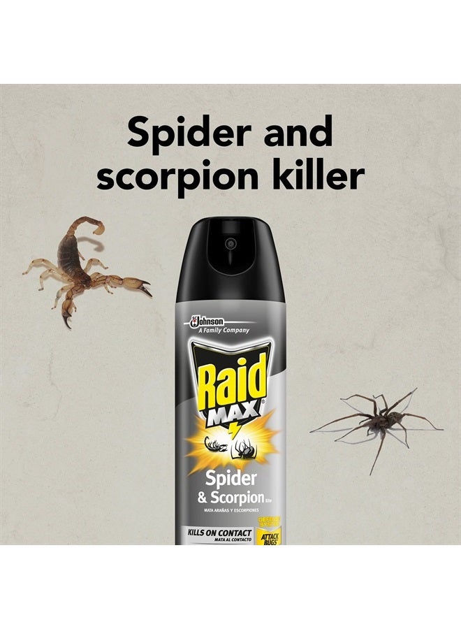 Spider and Scorpion Killer, Kills spiders, scorpions, roaches, ants, Waterbugs, earwigs, 12 oz