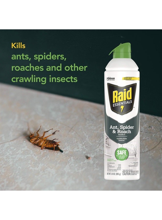 Essentials Ant Spider and Roach Killer Aerosol Spray, Kills Insects Quickly, for Indoor Use 10 Ounce (Pack of 3)