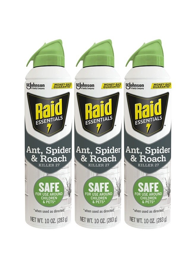 Essentials Ant Spider and Roach Killer Aerosol Spray, Kills Insects Quickly, for Indoor Use 10 Ounce (Pack of 3)