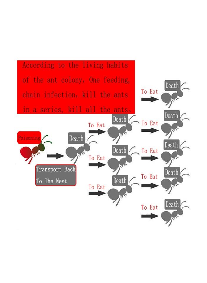 20-Bags Powerful Ant Bait Agent, Special Effect Indoor and Outdoor Low Toxicity and Odorless Bait Powder