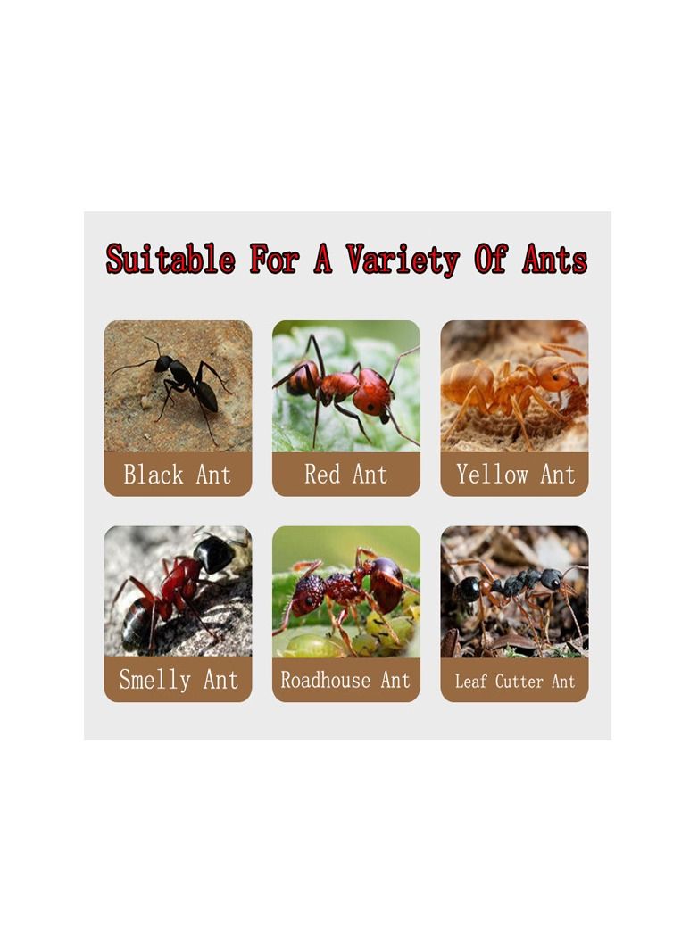 20-Bags Powerful Ant Bait Agent, Special Effect Indoor and Outdoor Low Toxicity and Odorless Bait Powder