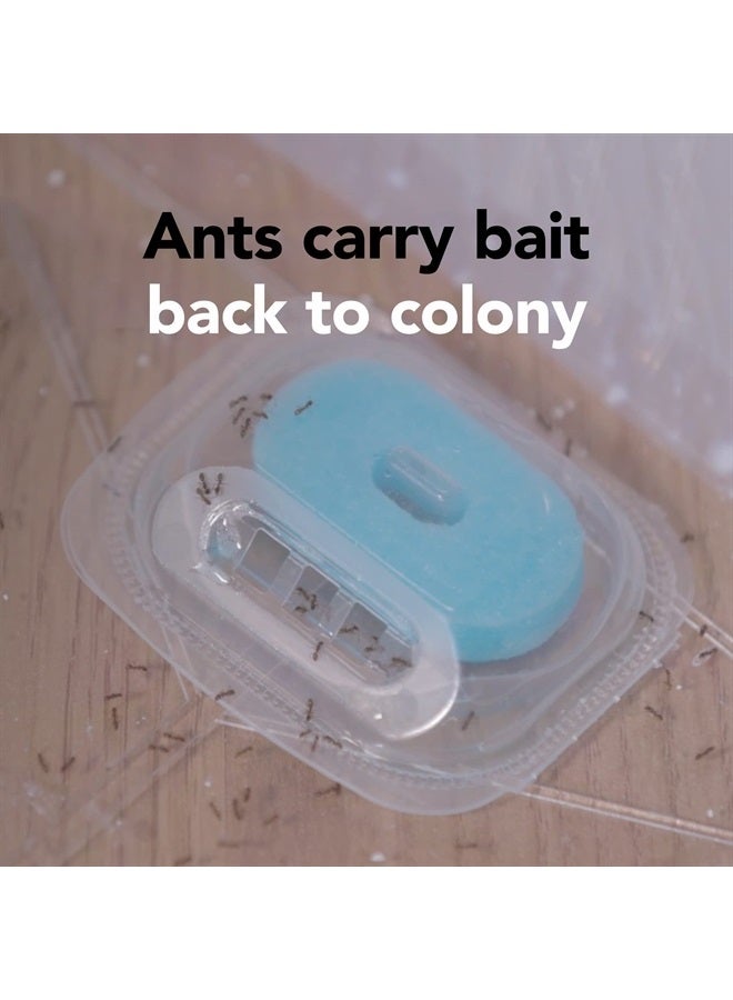 Max Liquid Ant Bat; Kills Ants Where They Breed, For Indoor and Outdoor Use; 4 Bait Stations