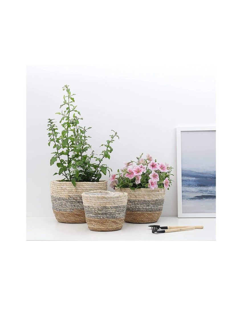 Seagrass Plant Basket Set of 3 - Hand Woven Basket Indoor Outdoor Storage Flower Pot Cover with Interior Plastic Coatin Home Decor & Natural Plant Containers