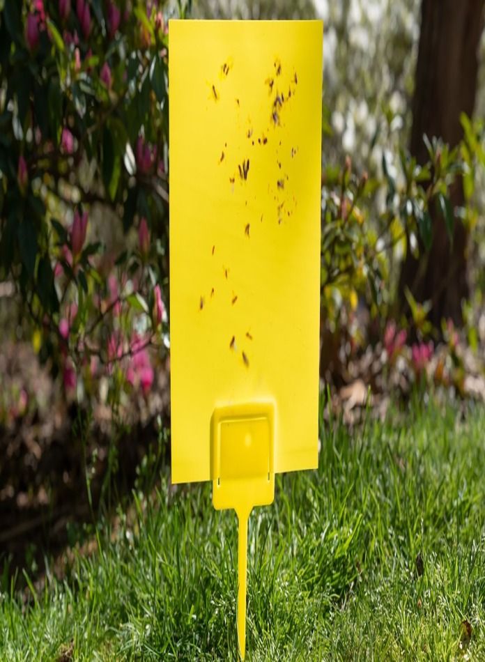 Garden Adhesive Plate