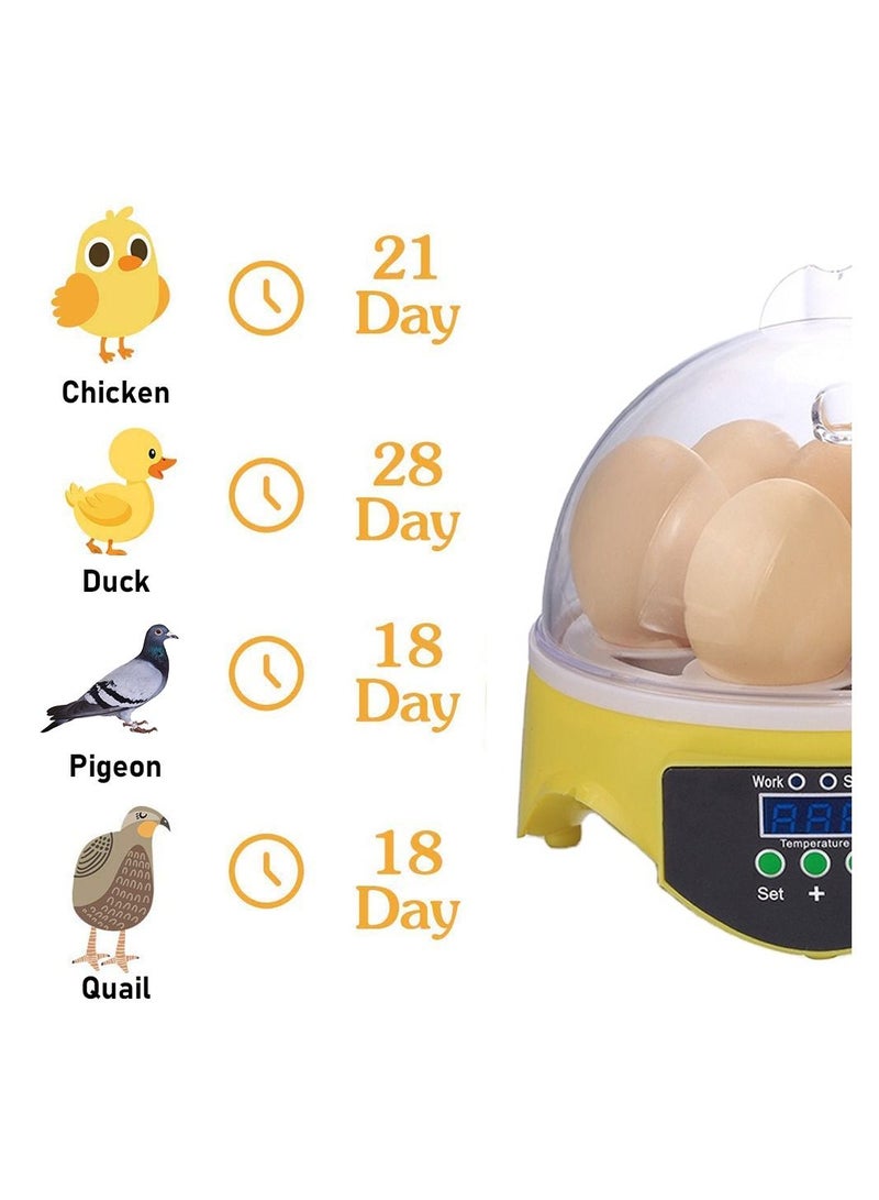 VITION 7 Eggs Mini Digital Egg Incubator Hatcher Transparent Eggs Hatching Machine Automatic Temperature Control for Chicken Duck Bird Eggs