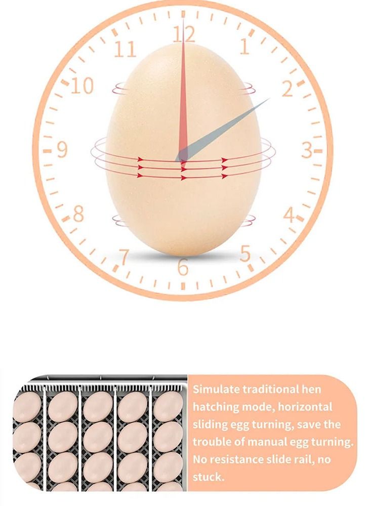 Egg Candler Temperature Control & Automatic 20 Egg Turner for Hatching Chickens Quail Duck Goose Turkey