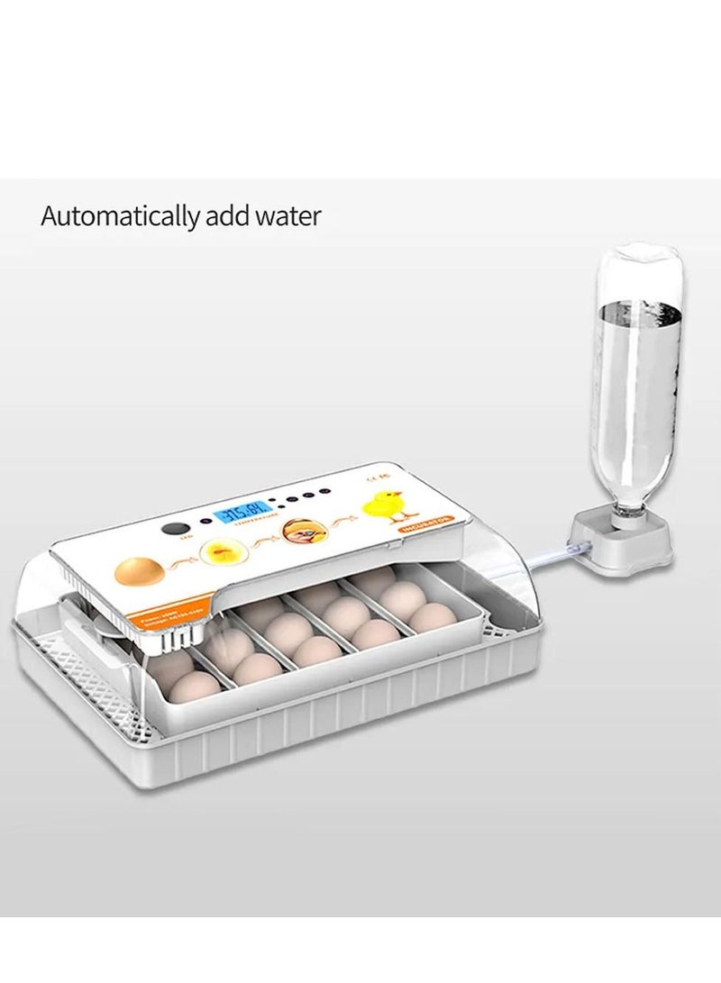 Egg Candler Temperature Control & Automatic 20 Egg Turner for Hatching Chickens Quail Duck Goose Turkey