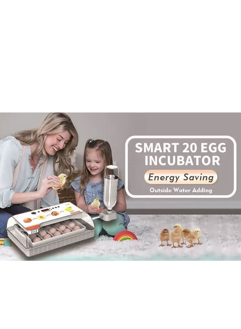 Egg Candler Egg Incubator with Automatic Egg Turning and Humidity Control 20 Eggs Hatcher Machine