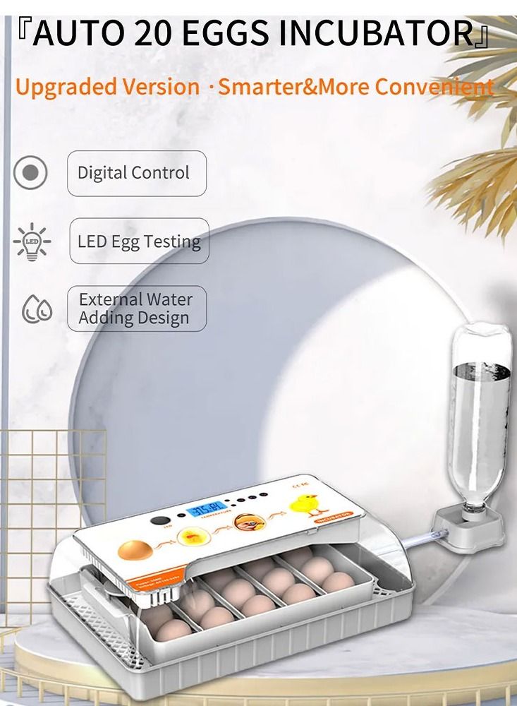 Egg Incubator Clear View Automatic Egg Turner Temperature Humidity Control Egg Candler Poultry Egg Incubator for Hatching 20 Eggs