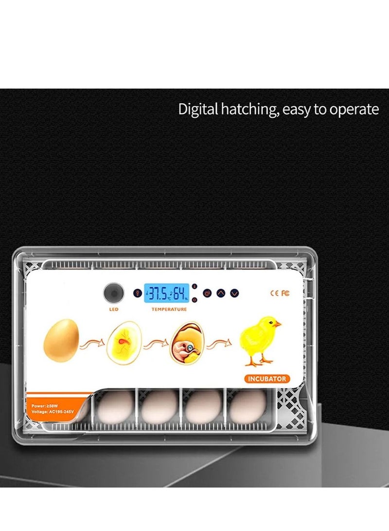 Chicken Egg Incubator for Hatching 20 Eggs Automatic Water Adding Egg Candler for Hatching Chicken Duck Quail Bird Eggs