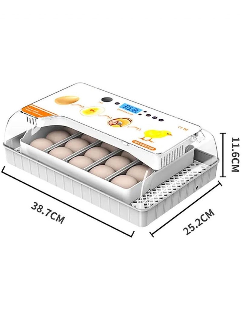 Chicken Egg Incubator for Hatching 20 Eggs Automatic Water Adding Egg Candler for Hatching Chicken Duck Quail Bird Eggs