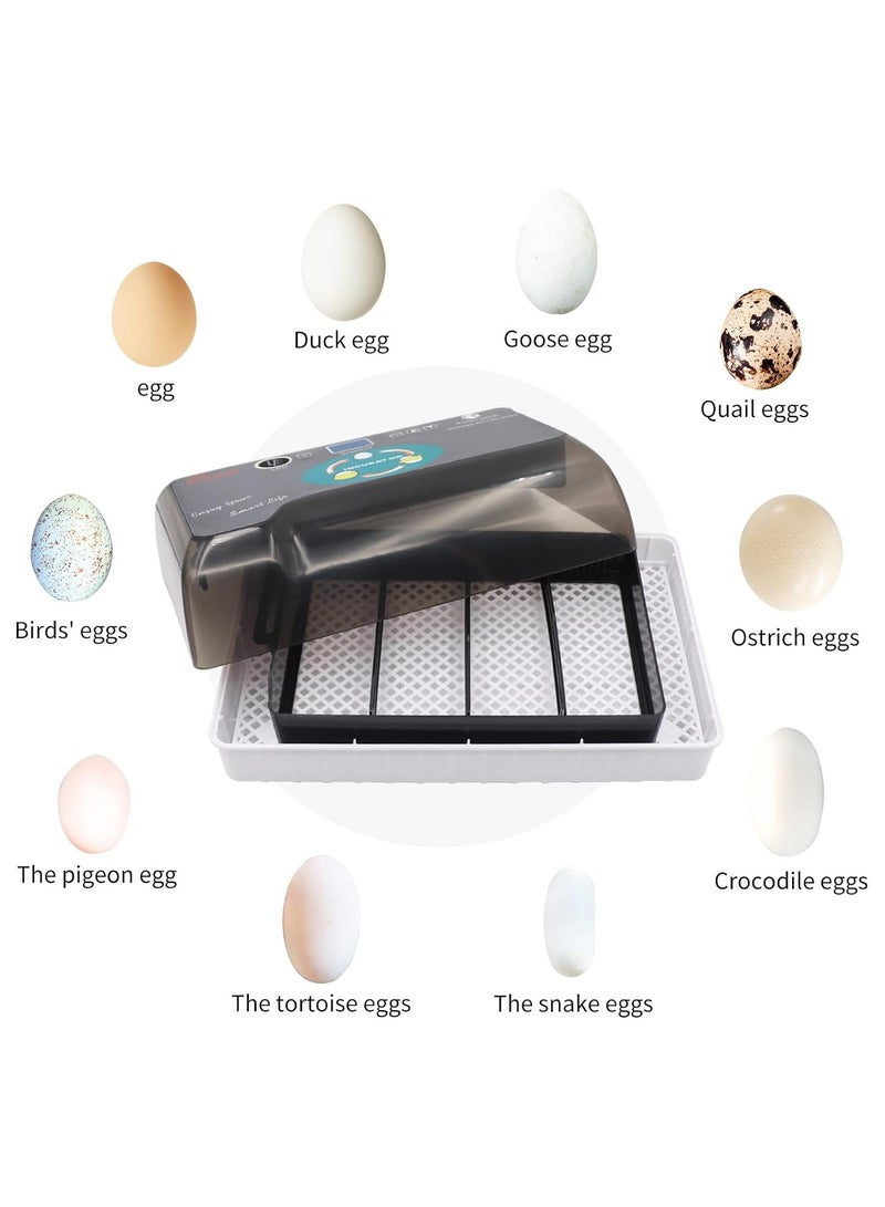 Egg Incubator, 12 Tortoise Egg Incubator, Reptile Hatcher, Thermostatic Tortoise Brooder, with Auto Egg Turner Visible Lid Digital LED Display, for Egg Incubation Beginner Child Education Gift