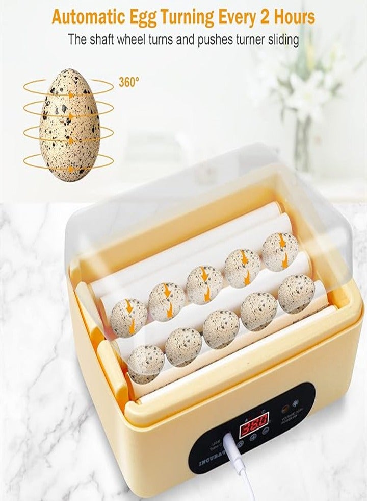 6 USB fully automatic incubator small incubator educational enlightenment incubator chicken, duck, pigeon, quail egg incubator