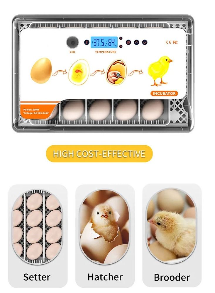 20 Eggs Fully Automatic Poultry Hatcher Machine with Humidity Display 20 Egg Incubator Egg Turner