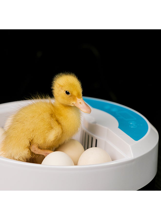 Digital Egg Incubator For Chicken Poultry Hatcher White