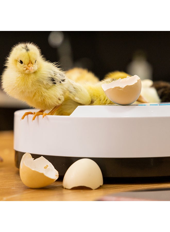 Digital Egg Incubator For Chicken Poultry Hatcher White