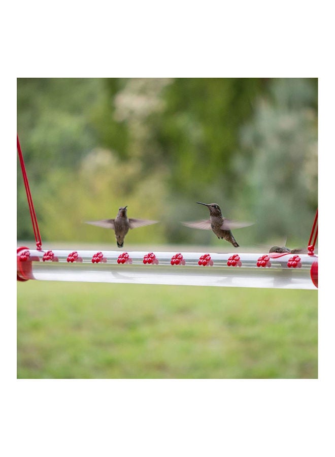 Hummingbird Feeder Red