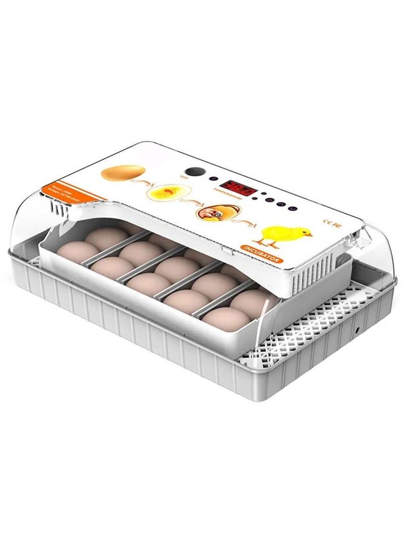 Visible Transparent 20 Eggs Hatcher Machine Temperature Control with Humidity Display Bird Eggs Incubator