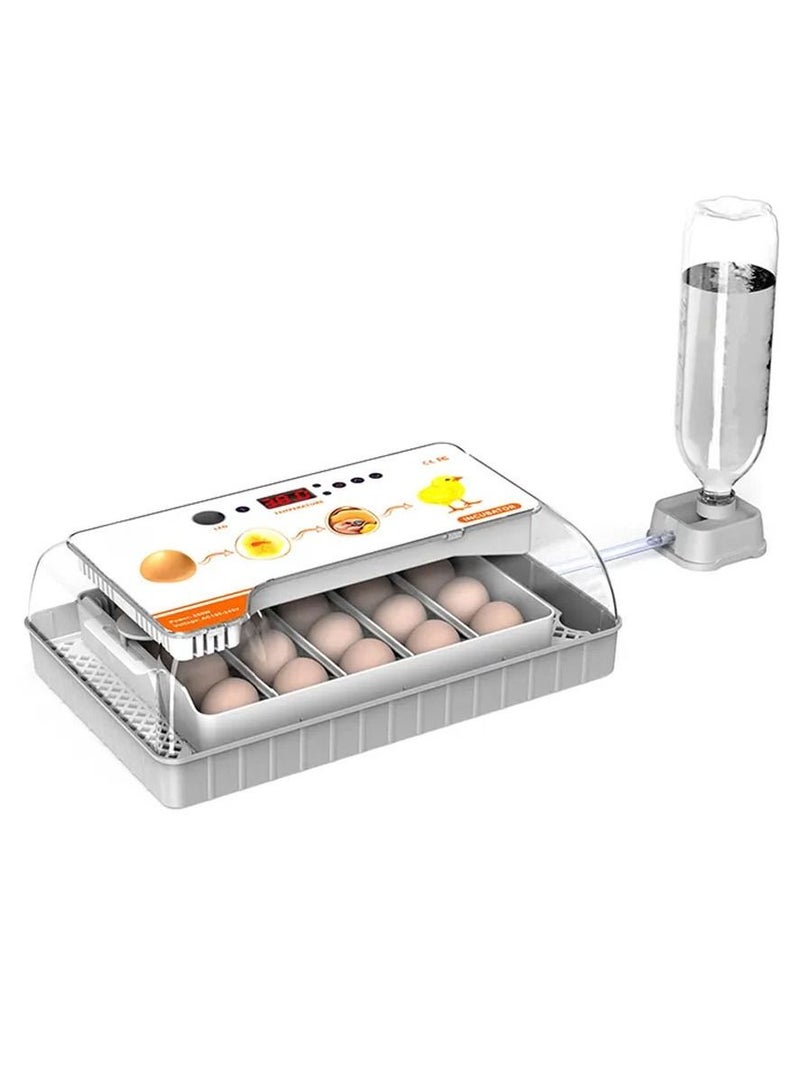 Visible Transparent 20 Eggs Hatcher Machine Temperature Control with Humidity Display Bird Eggs Incubator