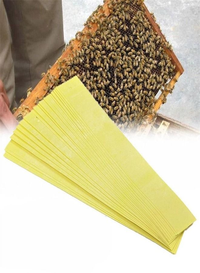 Bee Mite Control: 80 Pieces Bee Mite Strips Mite Control Product for Beekeeping Supplies Hive Tool