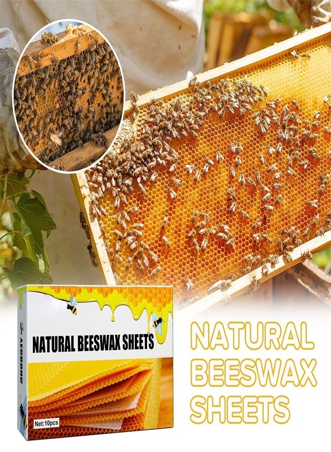 10 pcs Beekeeping Tool Bee Beehive Nest Wax Beeswax Tablets Gold Bee Honeycomb Material for Backyard and Bee