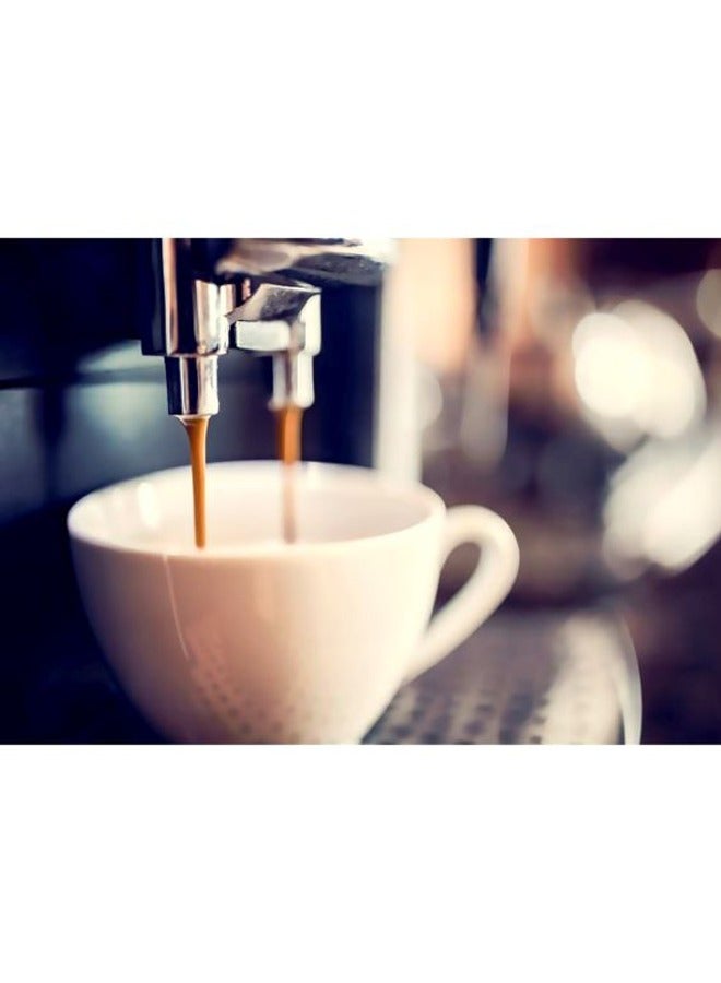 8-Piece Espresso Coffee Machine Cleaning Descaler Tablet Set White ‎8x1.5grams