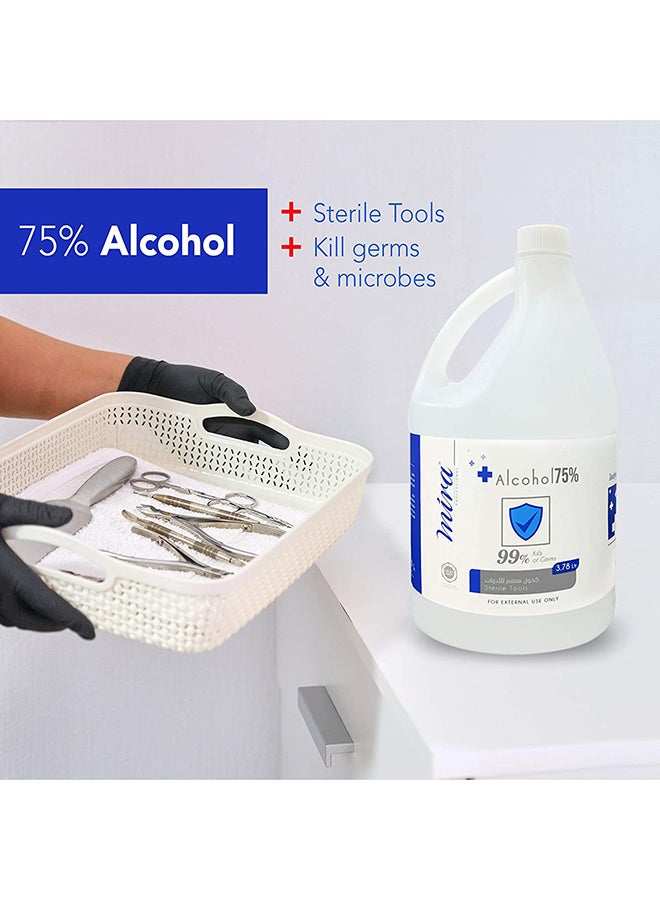 Bacterial Kills Alcohol Sanitizer 3.78Liters