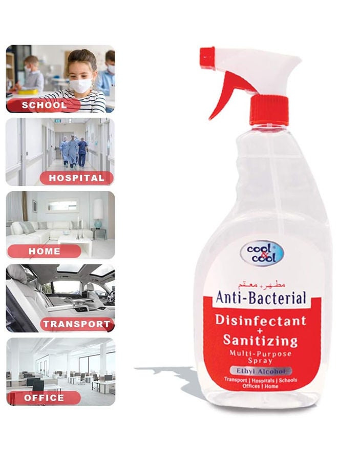 Multi-Purpose Disinfectant and Sanitizing Spray 750ml Pack fo 2