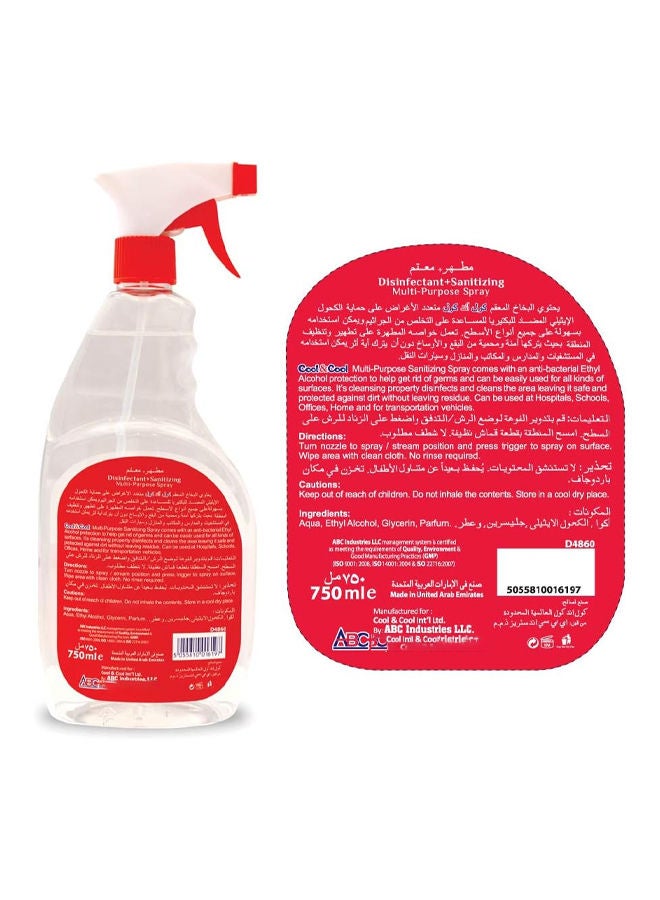 Multi-Purpose Disinfectant and Sanitizing Spray 750ml Pack fo 2