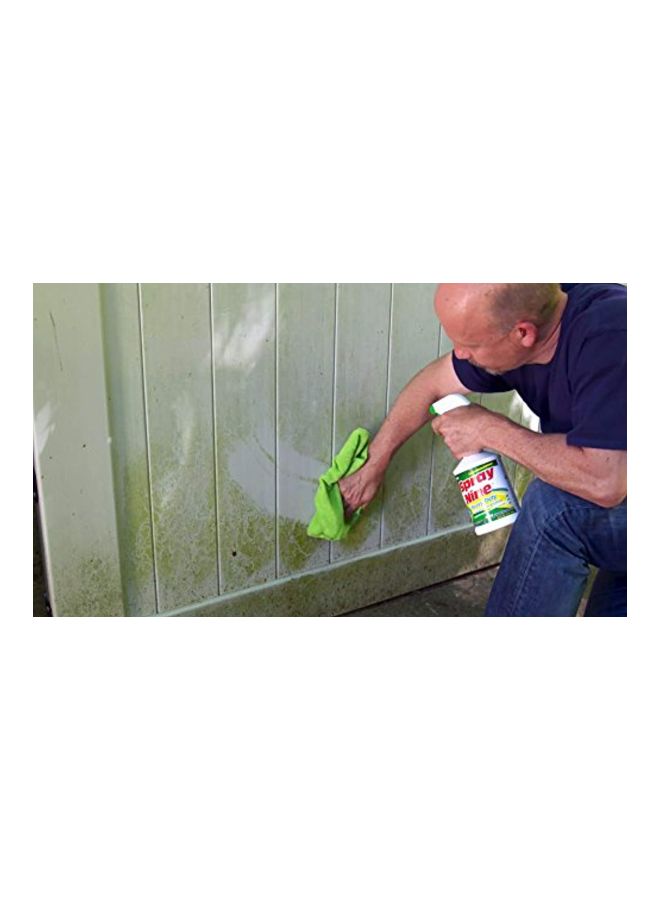 Heavy Duty Cleaner/Degreaser