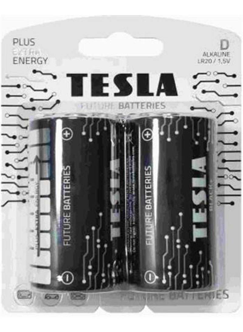 D Type Battery Black+ 2 Pcs