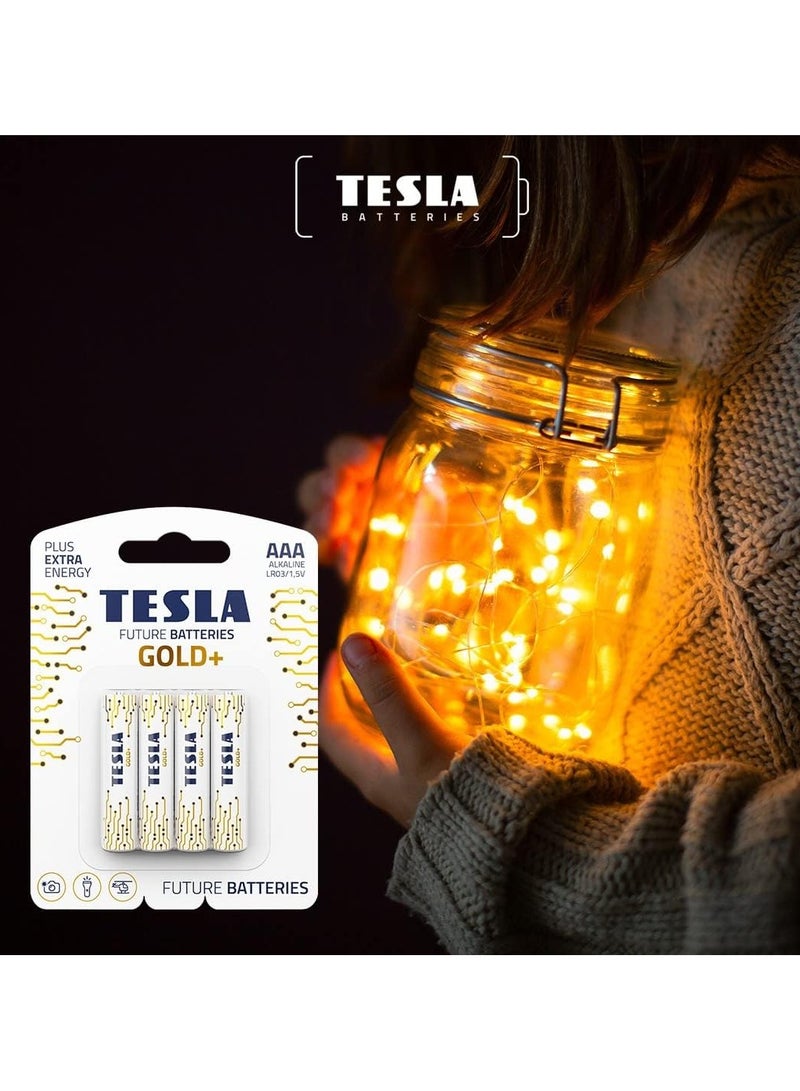 AAA Alkaline Batteries Gold+ 4 Pcs Pack