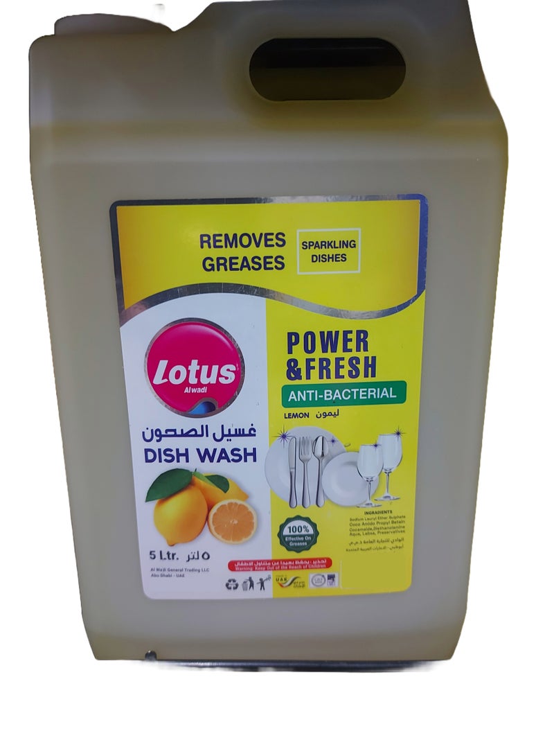 Lemon Power & Fresh Anti Bacterial Dish Wash 5 L