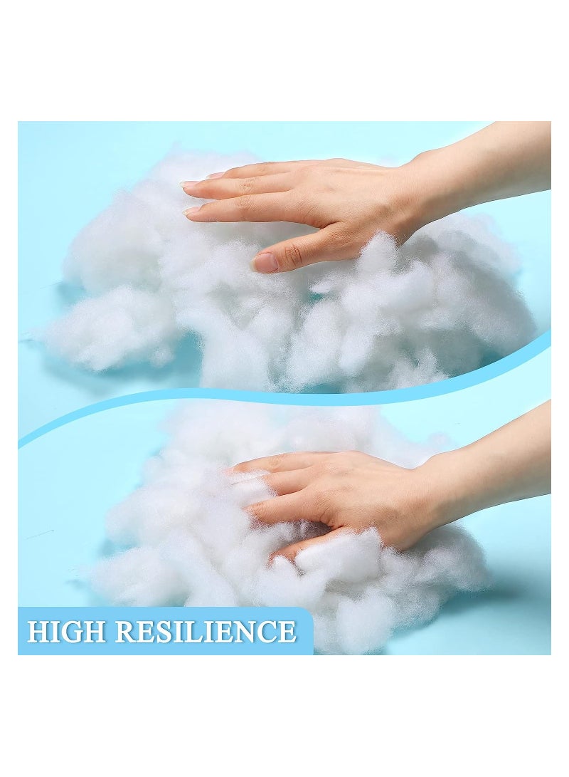 White Polyester Filling Fluffy High Resilience Stuffing for Cushions, Pillows, Teddy Bear and Toy Hypoallergenic Lofty Hollow Filling for Sofas and Bedding, (500, 1000, 1500, 2000, 3000, 4000, 5000g)