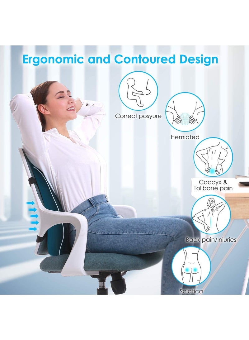 Office Chair Lumbar Support Pillow, Memory Foam Back Cushion, Breathable 3D Mesh Cover, Ergonomic Design Orthopedic Backrest for Lower Back Pain Relief, Chair and Car Seat Backrest