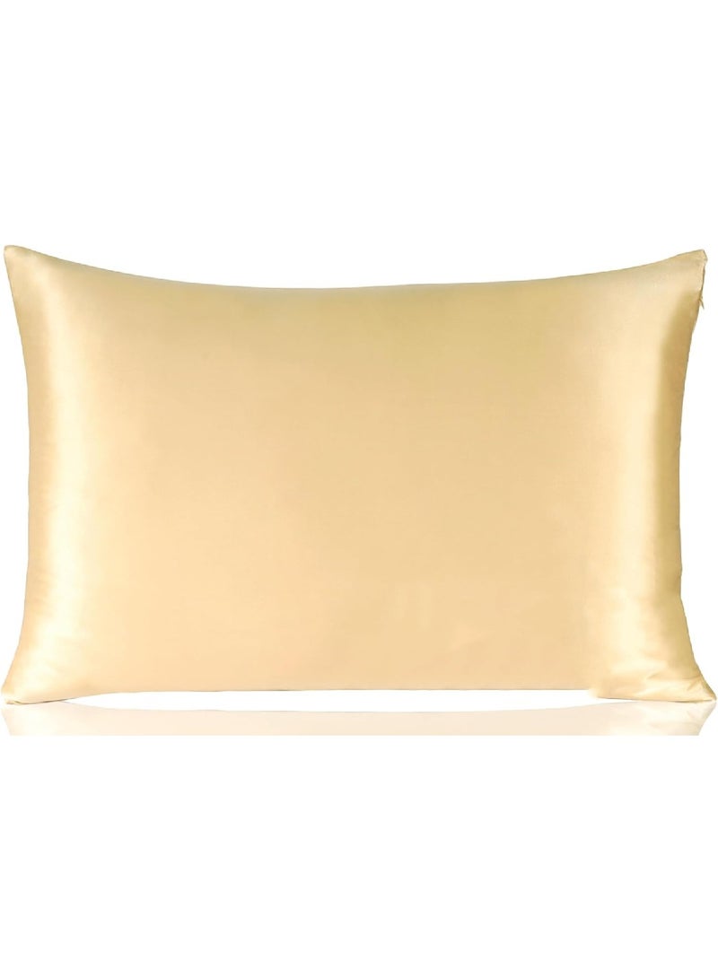 Pure Mulberry Silk Pillowcase For Healthy Hair And Skin With Invisible Zipper (Standard 50.8CM x 66CM, Champagne)