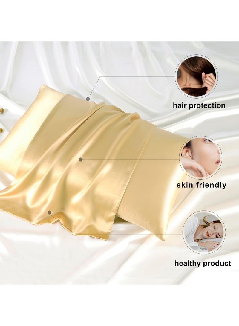 Pure Mulberry Silk Pillowcase For Healthy Hair And Skin With Invisible Zipper (Standard 50.8CM x 66CM, Champagne)