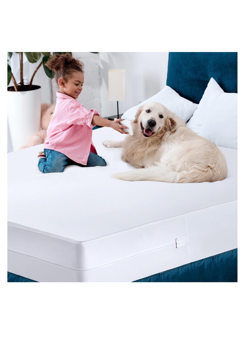 Utopia Bedding Zippered Mattress Encasement Queen - 100% Waterproof and Bed Bug Proof Mattress Protector - Absorbent, Six-Sided Mattress Cover