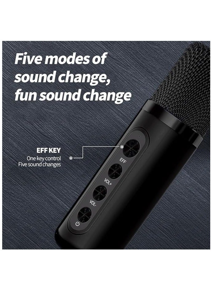 Dual Microphones, Bluetooth PA Speaker for All-Ages Indoor and Outdoor Parties Family Entertainment at Its Best