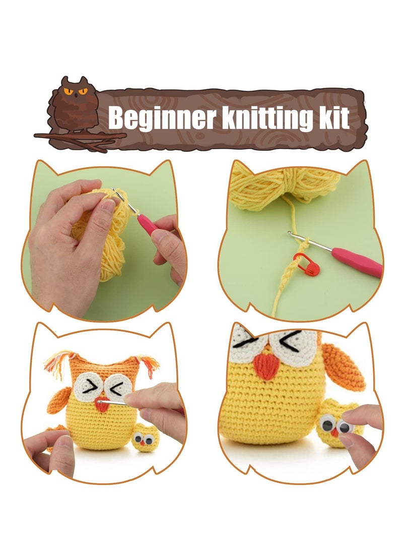 Beginner Friendly Crochet Kit to Make Cute Owls with Yarn and Hooks Included