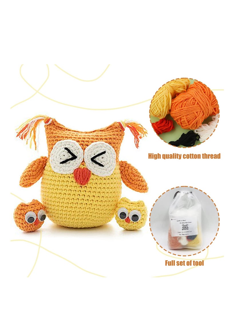 Beginner Friendly Crochet Kit to Make Cute Owls with Yarn and Hooks Included